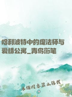 哈利波特中的魔法师与爱情公寓