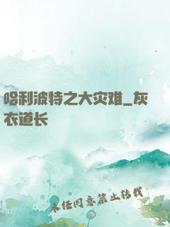 哈利波特之大灾难