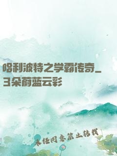 哈利波特之学霸传奇