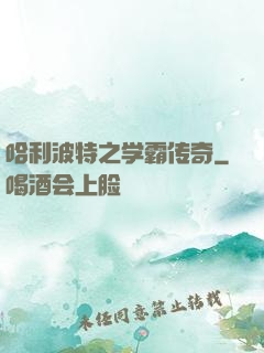 哈利波特之学霸传奇