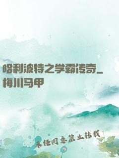 哈利波特之学霸传奇