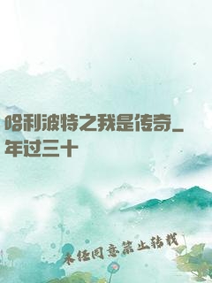 哈利波特之我是传奇