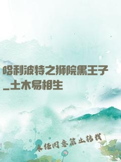 哈利波特之狮院黑王子