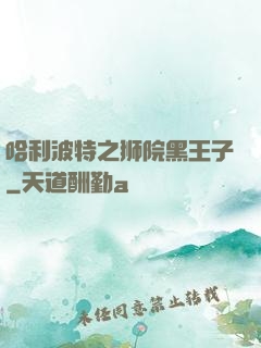 哈利波特之狮院黑王子