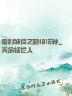 哈利波特之超级法神