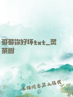 哥哥你好坏txt