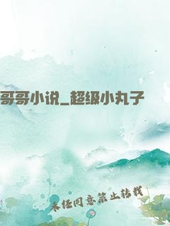 哥哥小说