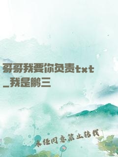 哥哥我要你负责txt