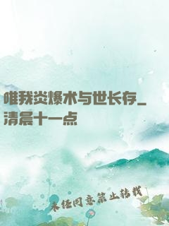 唯我炎爆术与世长存