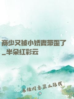 商少又被小娇妻带歪了