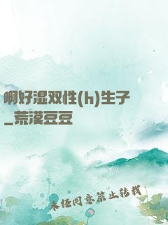 啊好湿双性(h)生子