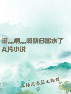 啊灬啊灬啊快日出水了A片小说