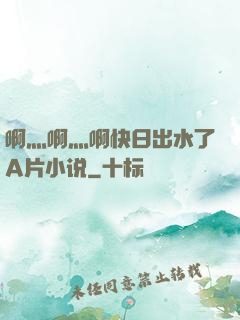 啊灬啊灬啊快日出水了A片小说