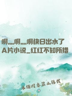 啊灬啊灬啊快日出水了A片小说