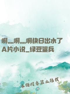 啊灬啊灬啊快日出水了A片小说