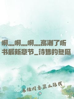 啊灬啊灬啊灬高潮了听书最新章节