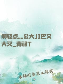 啊轻点灬公大JI巴又大又