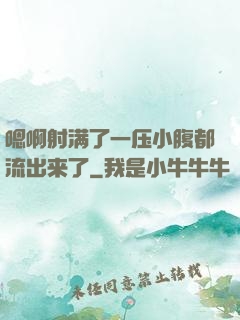 嗯啊射满了一压小腹都流出来了