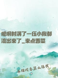 嗯啊射满了一压小腹都流出来了