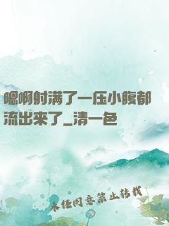 嗯啊射满了一压小腹都流出来了