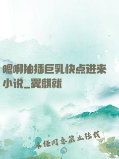 嗯啊抽插巨乳快点进来小说