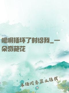 嗯啊插坏了射给我
