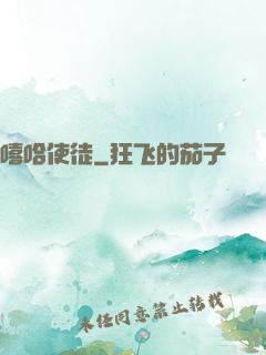 嘻哈使徒