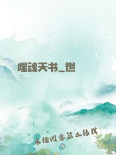 噬魂天书