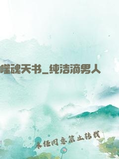 噬魂天书