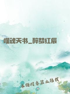 噬魂天书