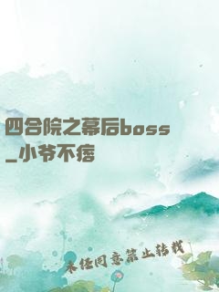 四合院之幕后boss