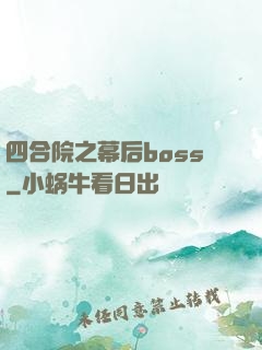 四合院之幕后boss