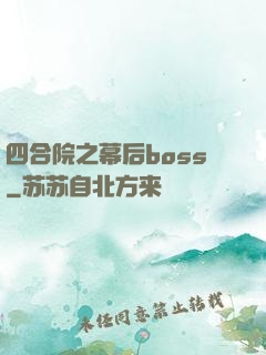 四合院之幕后boss