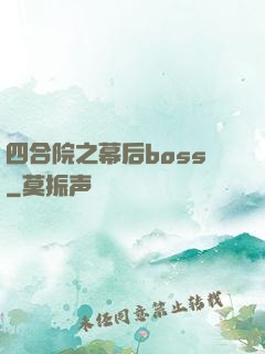 四合院之幕后boss