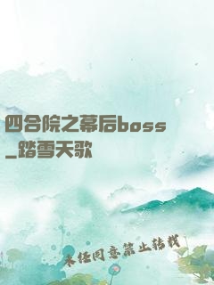 四合院之幕后boss