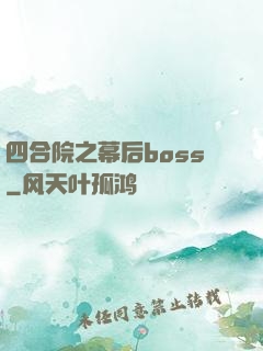 四合院之幕后boss
