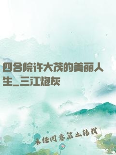 四合院许大茂的美丽人生