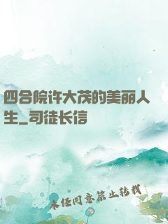四合院许大茂的美丽人生