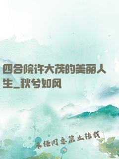 四合院许大茂的美丽人生