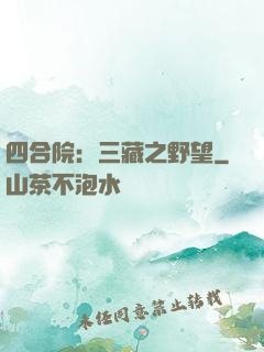 四合院：三藏之野望