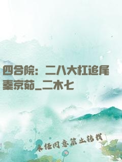 四合院：二八大杠追尾秦京茹