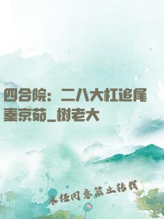 四合院：二八大杠追尾秦京茹