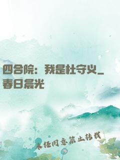 四合院：我是杜守义