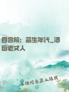四合院：芯生年代