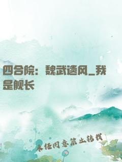 四合院：魏武遗风