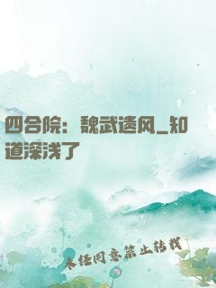 四合院：魏武遗风