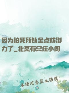 因为怕死所以全点防御力了