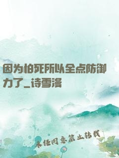 因为怕死所以全点防御力了