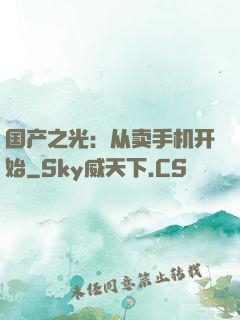 国产之光：从卖手机开始