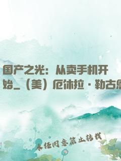 国产之光：从卖手机开始